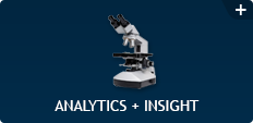 Analytics + Insight